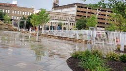 landscaping on slack plaza.